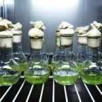 Desarrollo del »Arca de Noe» para albergar muestras biológicas