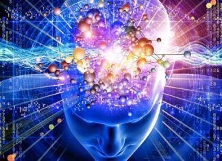 la inmunidad y la memoria