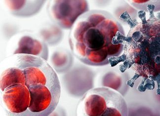 Células cancerosas podrán ser resaltadas durante la extirpación del tumor células cancerosas