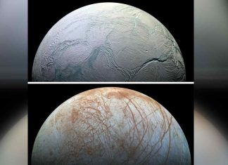 Lunas de Júpiter y Saturno son adecuadas para la vida según la NASA lunas de júpiter y saturno