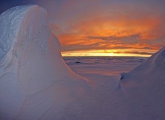 La Bóveda del Fin del Mundo resguarda 864.000 semillas de diferentes tipos