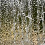 Nature Neuroscience realizó un experimento en ratones en los que logró que a través de una luz los mamíferos acudieran a saciar su sed más de 2.000 veces por al menos 10 minutos