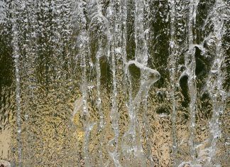 Nature Neuroscience: El agua podría tener sabor propio según experimento Nature Neuroscience realizó un experimento en ratones en los que logró que a través de una luz los mamíferos acudieran a saciar su sed más de 2.000 veces por al menos 10 minutos