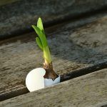 Existen diversas concepciones sobre lo qué es la Bioenergía; aplicada a diferentes campos de estudios, sobre todo el científico, se entiende por Bioenergía, a la fuente de energía derivada de los Biocombustibles; estos son aquellos productos obtenidos mediante el transporte de fuentes renovables como plantas, animales y cualquier otro recurso que al secarse, producen restos orgánicos, estos restos son empleados para producir energía.