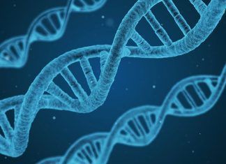 El mejoramiento de la calidad de vida, en conjunto con el desarrollo de nuevos métodos tecnológicos; tiene como principal reto y meta a la ingeniería como área de estudio, por la cual deben trabajar las nuevas generaciones. A nivel global debe asumirse ese reto; para empezar desde la estructura más micro hasta la más macro.