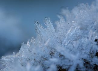 Experimento de cristales con azúcar, ¡Crea tu propia cristalización!