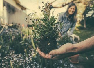 agroecologia la salvacion del planeta