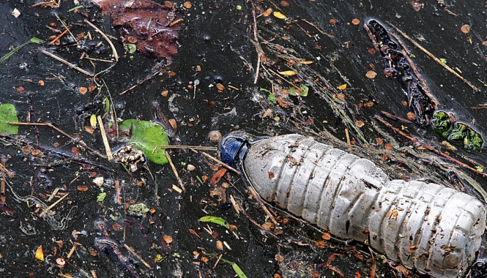 Ballena muere con 29 kilos de plástico en su estómago