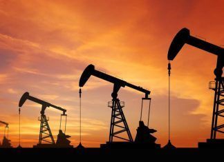 Esponja capaz de absorber el petróleo esponja