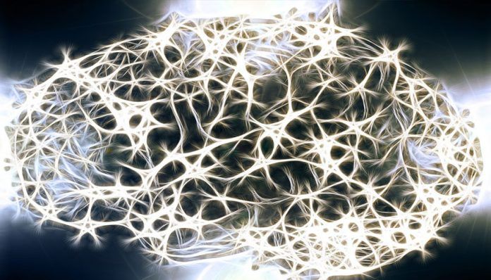 ondas Las ondas ultralentas del cerebro tienen una gran importancia en la conciencia.