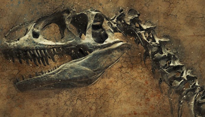 Un fósil de dinosaurio es hallado en la región de Magallanes