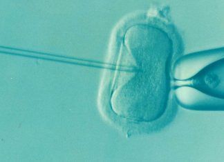 Anticonceptivo masculino