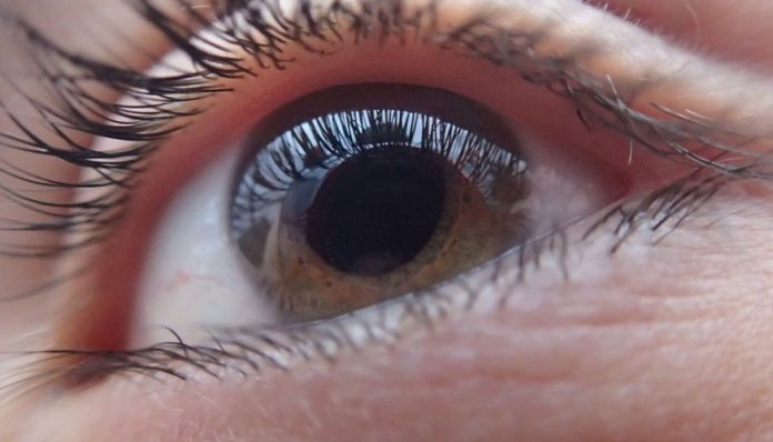 Diagnosticos de retinopatía diabetica mediante una IA