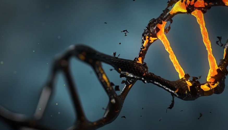 i-Motif nuevo ADN