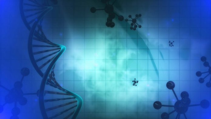 Genoma de la leucemia y su funcionamiento