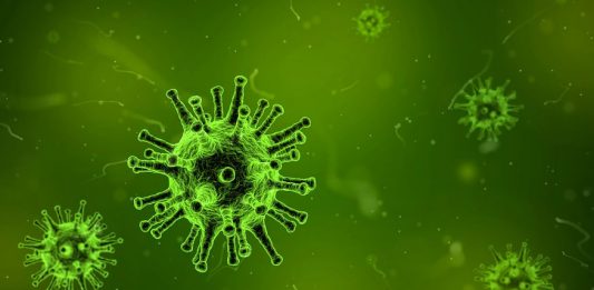 El senecavirus Virus Nipah