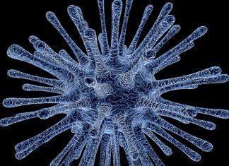 El Senecavirus Virus Nipah