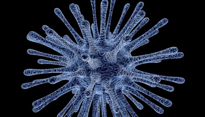 El Senecavirus Virus Nipah