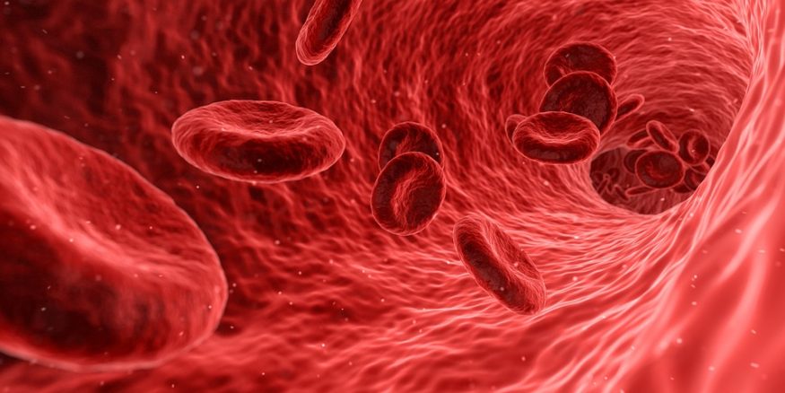 Crean neuronas humanas a partir de una muestra de sangre
