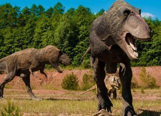 Jurassic Park hizo de la paleontología lo que es hoy Jurassic Park