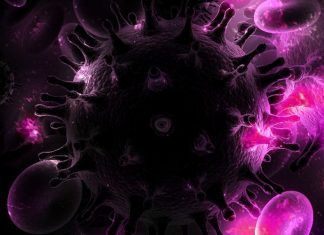 La vacuna contra el VIH podría estar a punto de ser real La vacuna contra el VIH