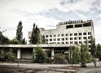 Chernobyl todavía alberga vida, en su mayoría lobos sin mutaciones visibles Chernobyl