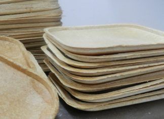 Platos biodegradables