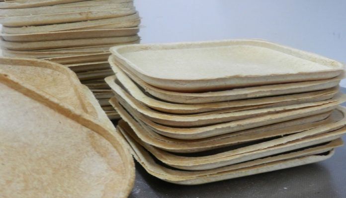 platos-biodegradables-1 Platos biodegradables