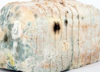 Quitar el moho del pan no es efectivo