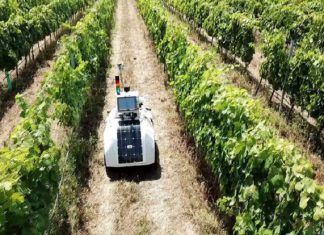 Vinescot: el robot de las uvas Vinescot