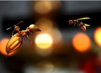 Cucarachas robots serán los mecánicos del futuro Cucarachas robots, nuevos mecánicos