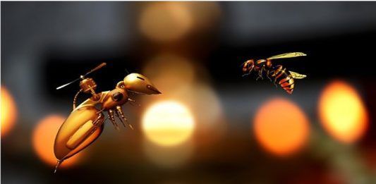 Cucarachas robots, nuevos mecánicos