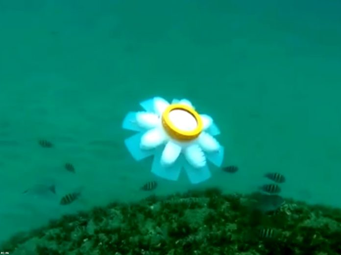 Medusas robots las nuevas guardianes del océano