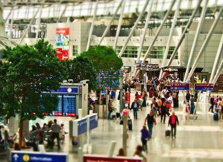 Las bandejas de los aeropuertos tienen más microbios que los baños públicos Las bandejas de los aeropuertos