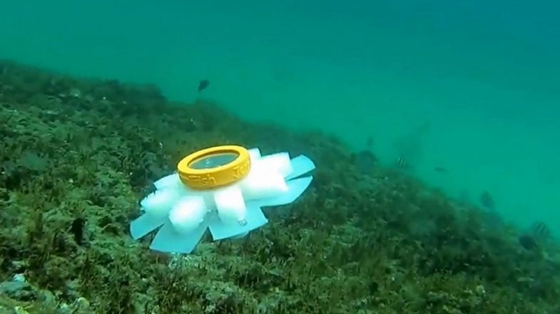 Medusas robots las nuevas guardianes del océano 