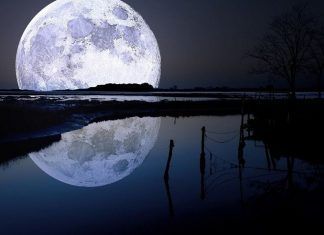 45 años después retoman interés por la luna luna