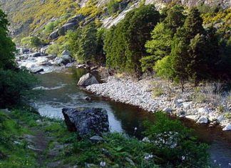 Asaja Málaga denuncia que persiste la falta de limpieza en ríos