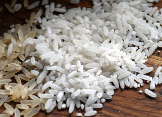 Arroz marino: el nuevo alimento en China que combatirá la crisis de comida que se avecina Arroz marino