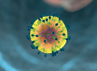 Logran eliminar el vih