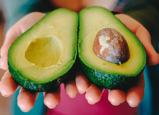 Un aguacate que dure un mes sin dañarse ¿sueño o realidad? Un aguacate