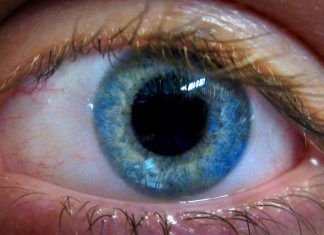 microbots inyectables