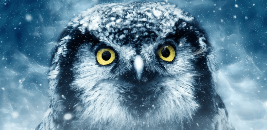 muchos animales han desaparecido