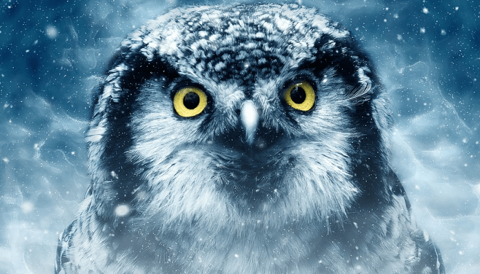 muchos-animales1 muchos animales han desaparecido