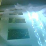 Primeras semillas en la Luna brotan dando paso a colonización sustentable del espacio