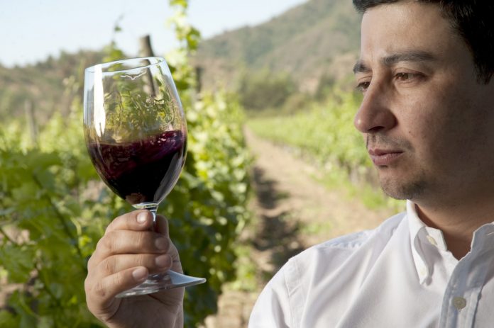 Enólogo tiene la capacidad profesional para realizar el conjunto de actividades relativas a los métodos y técnicas de cultivo de viñedo