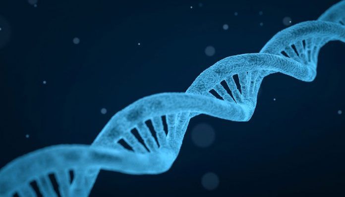 los-genes2 una molécula los genes