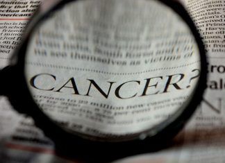 Por primera vez logran erradicar el cáncer de páncreas en ratones experimentales cáncer de páncreas