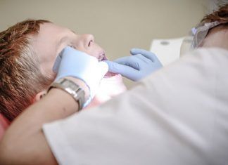 Dientes de leche: una fuente pura de células madre que entra en escena dientes de leche