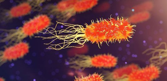 bacterias más resistentes