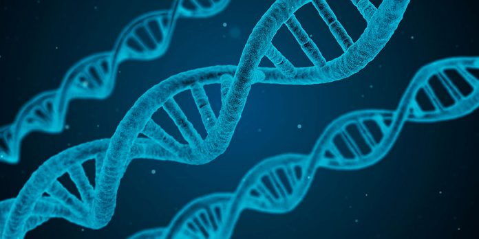 ﻿La Clonación Genética, avances en la medicina